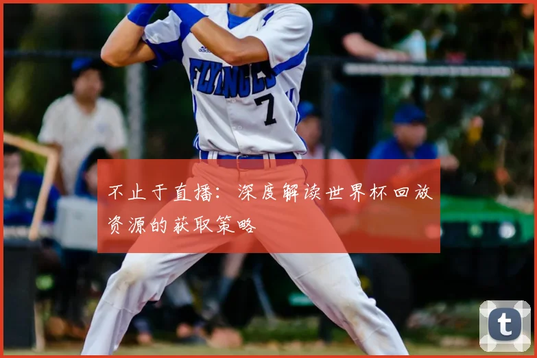不止于直播:深度解读世界杯回放资源的获取策略