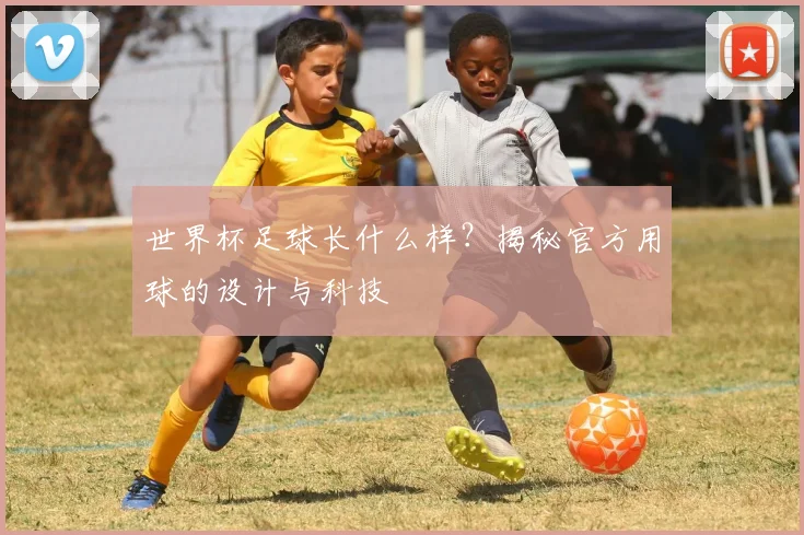 世界杯足球长什么样?揭秘官方用球的设计与科技