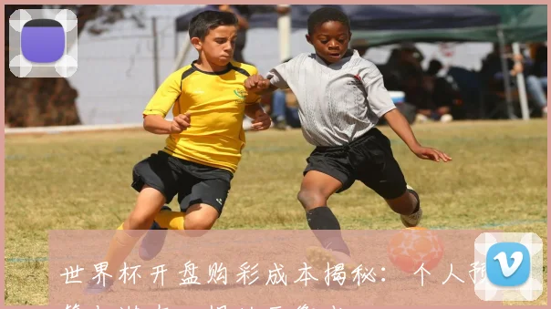 世界杯开盘购彩成本揭秘:个人预算与潜在回报的平衡点