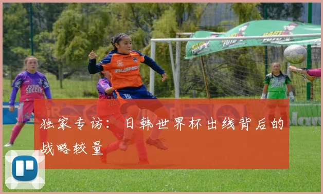 独家专访：日韩世界杯出线背后的战略较量
